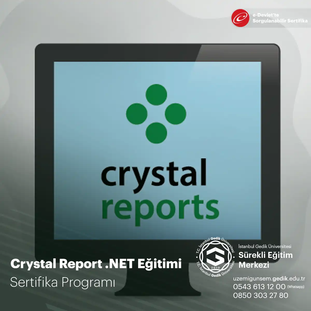 Crystal Report .NET Eğitimi Sertifika Programı